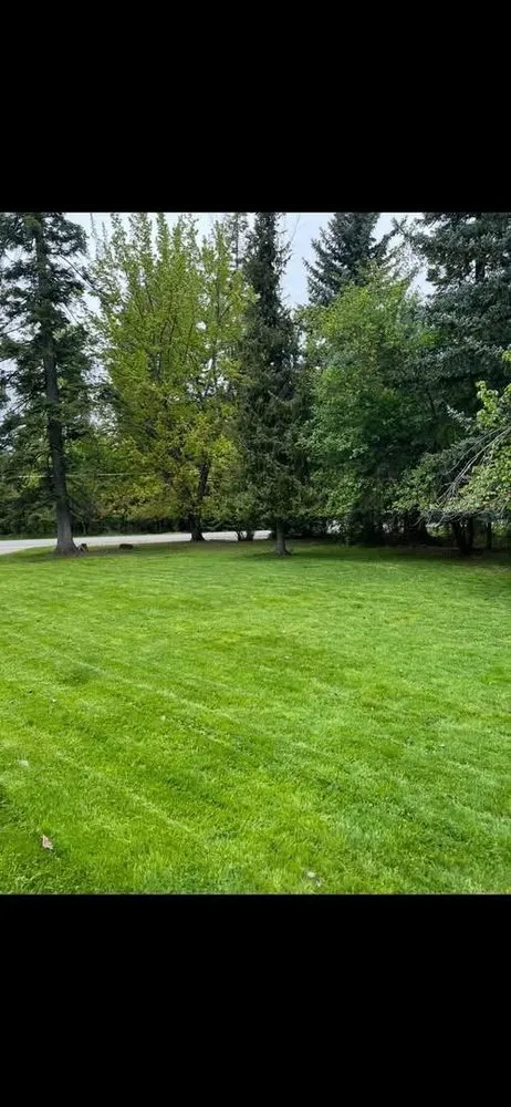 Professional landscape design in Coeur d'Alene, ID by Black Stone Landscaping