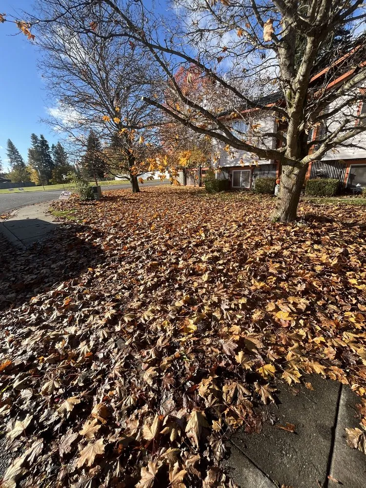 Local landscaping services in Coeur d'Alene, ID - Black Stone Landscaping