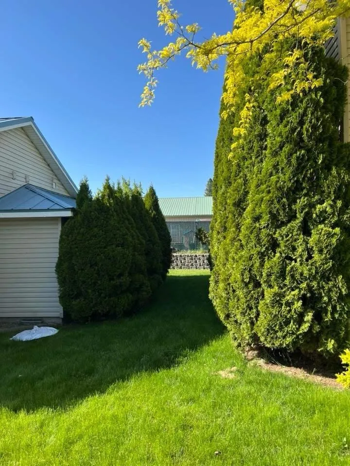 Top-rated landscape installation for beautiful yards in Coeur d'Alene, ID by Black Stone Landscaping