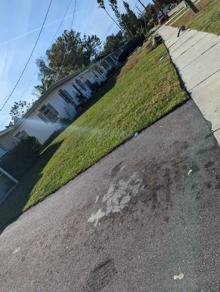 Professional landscaping services in St. Pete Beach, FL - Black Tail Landscaping