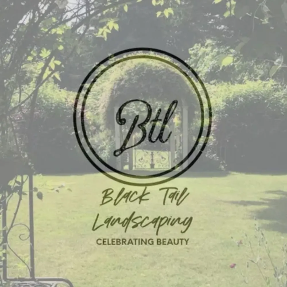 Professional lawn mowing service for homes across St. Pete Beach, FL - Black Tail Landscaping