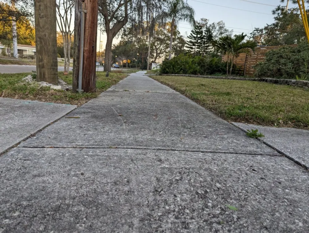 Expert landscape installation in St. Pete Beach, FL - Black Tail Landscaping