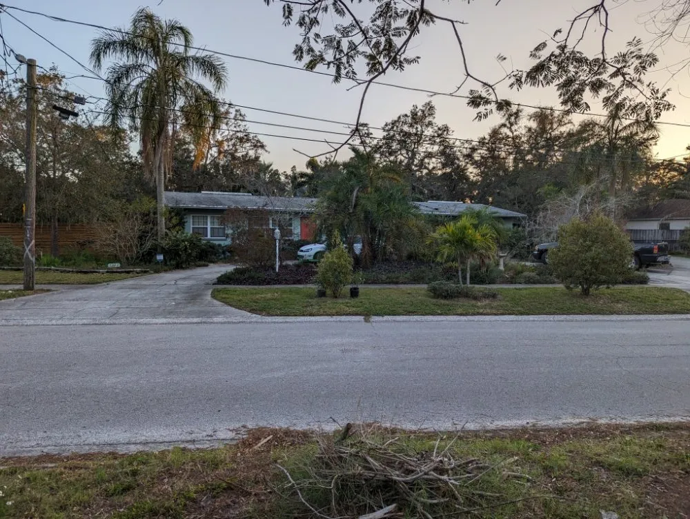 Custom landscaping services in St. Pete Beach, FL - Black Tail Landscaping