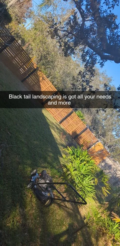Local outdoor landscaping in St. Pete Beach, FL - Black Tail Landscaping