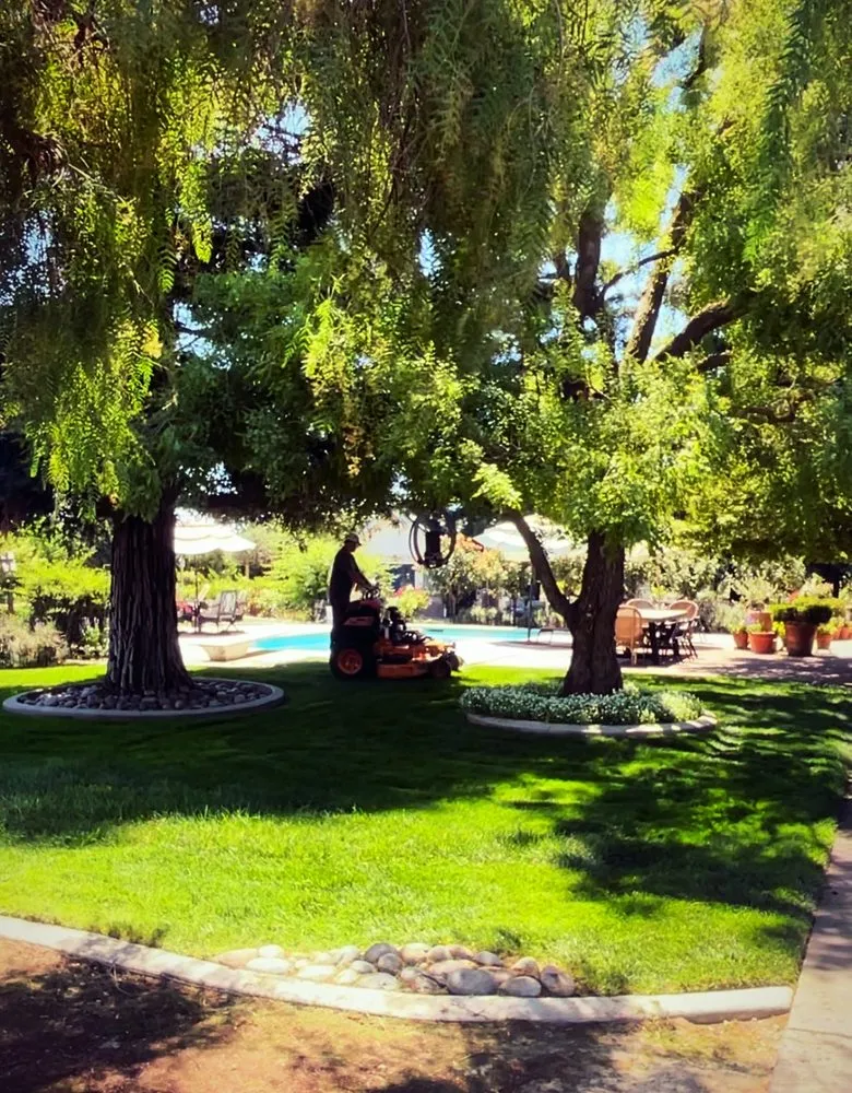 Reliable landscaping services for residential properties in Oakdale, CA by Black Tie Lawn Care