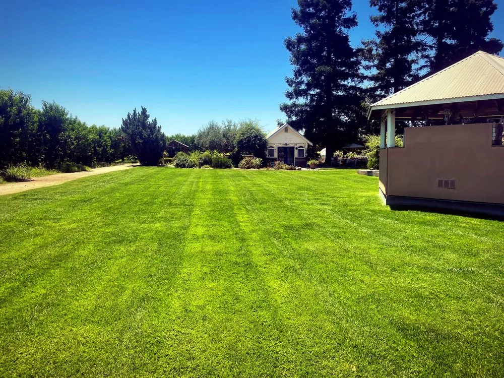 Expert landscape design in Oakdale, CA by Black Tie Lawn Care