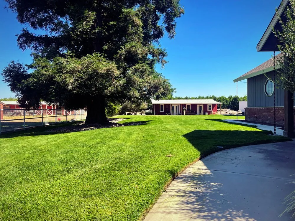 Trusted yard maintenance with custom design across Oakdale, CA - Black Tie Lawn Care