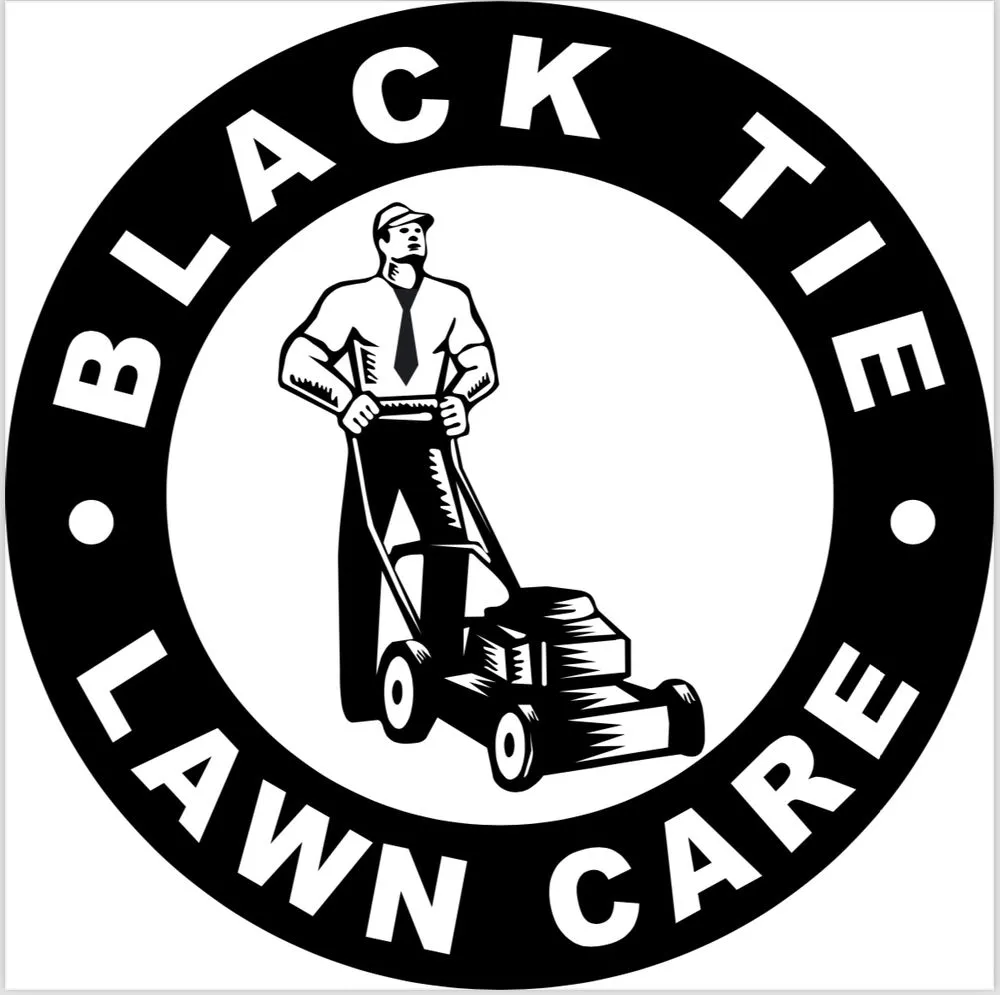 Professional yard cleanup service in Oakdale, CA - Black Tie Lawn Care
