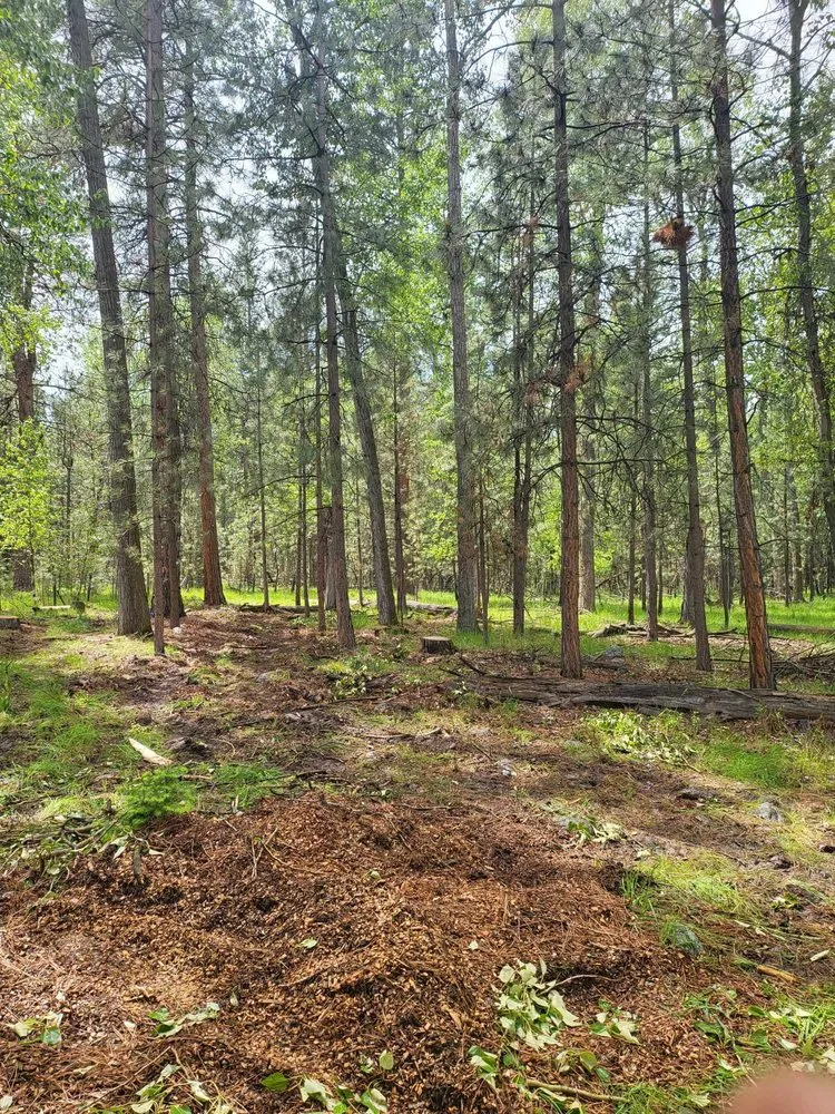 Local lawn mowing service for year-round maintenance across Corvallis, MT - Black Widow