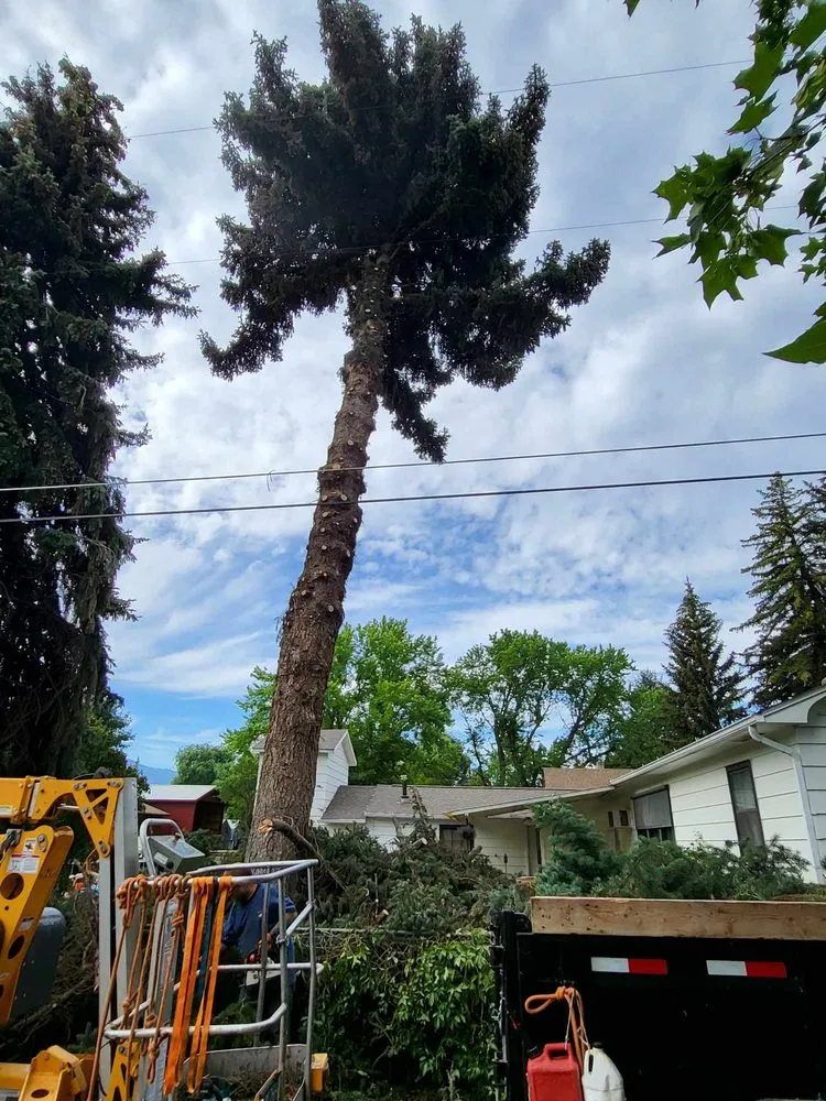 Trusted landscape installation for homes in Corvallis, MT by Black Widow