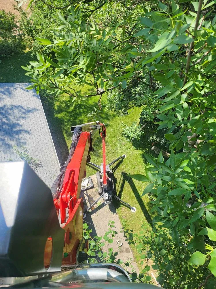 Local yard maintenance in Corvallis, MT by Black Widow