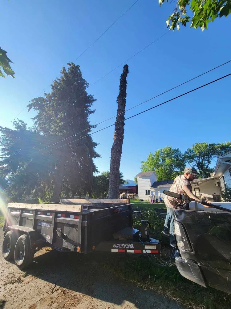 Professional landscape design experts serving Corvallis, MT - Black Widow