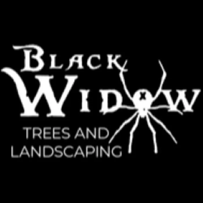 Expert lawn care service in Corvallis, MT - Black Widow