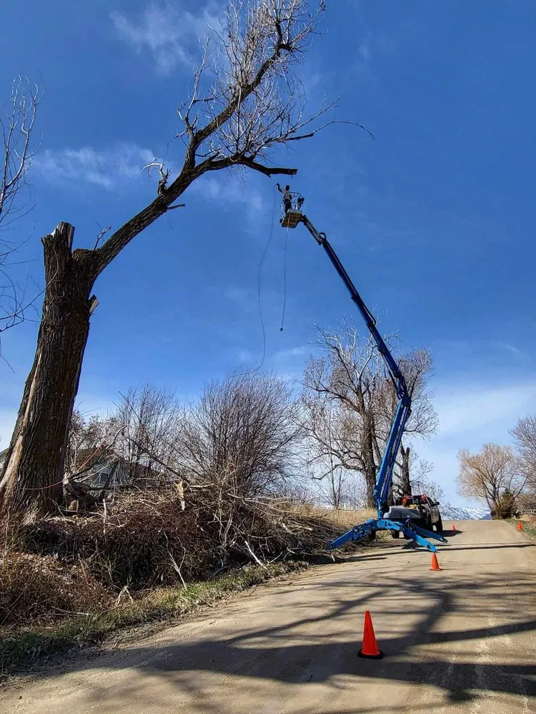 Custom lawn care service experts serving Corvallis, MT - Black Widow