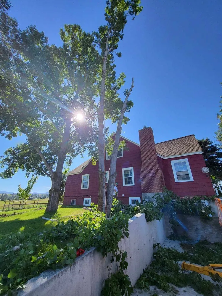 Reliable residential landscaping for outdoor upgrades across Corvallis, MT - Black Widow