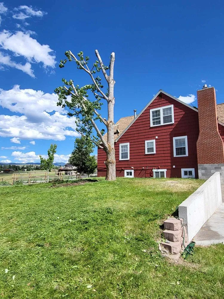 Reliable yard cleanup service in Corvallis, MT by Black Widow