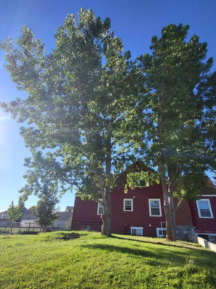 Custom garden landscaping near you across Corvallis, MT - Black Widow