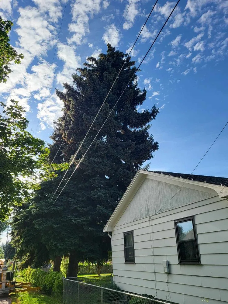 Custom landscape installation for homes across Corvallis, MT - Black Widow