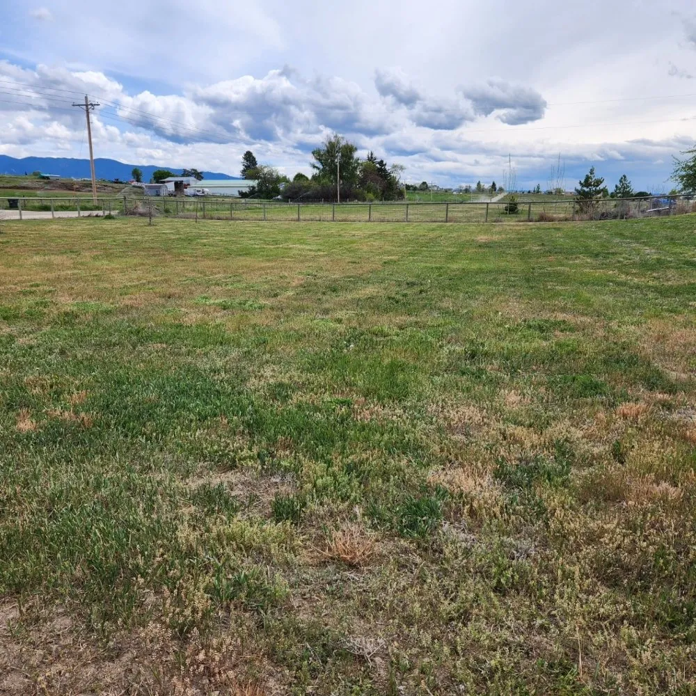 Expert residential landscaping for residential properties in Victor, MT by Black Widow Lawn Services