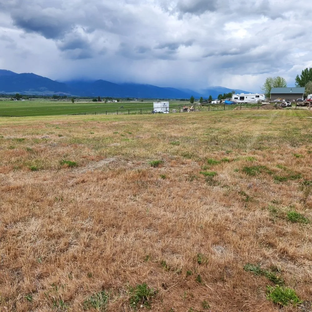 Professional residential landscaping in Victor, MT by Black Widow Lawn Services
