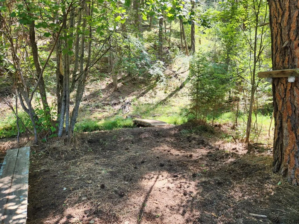Custom landscape installation experts serving Victor, MT - Black Widow Lawn Services