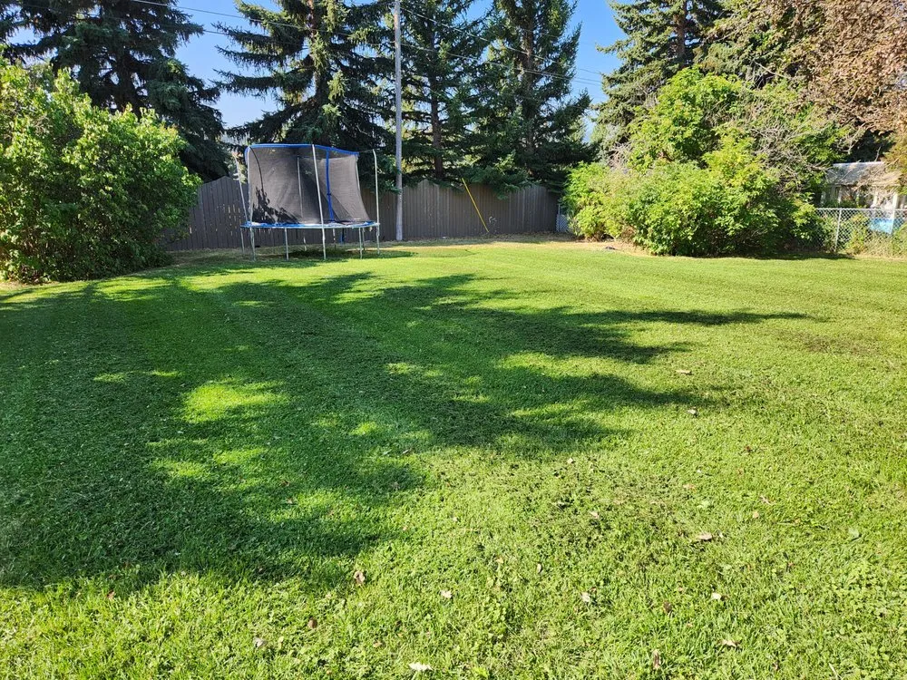 Local yard maintenance in Victor, MT by Black Widow Lawn Services