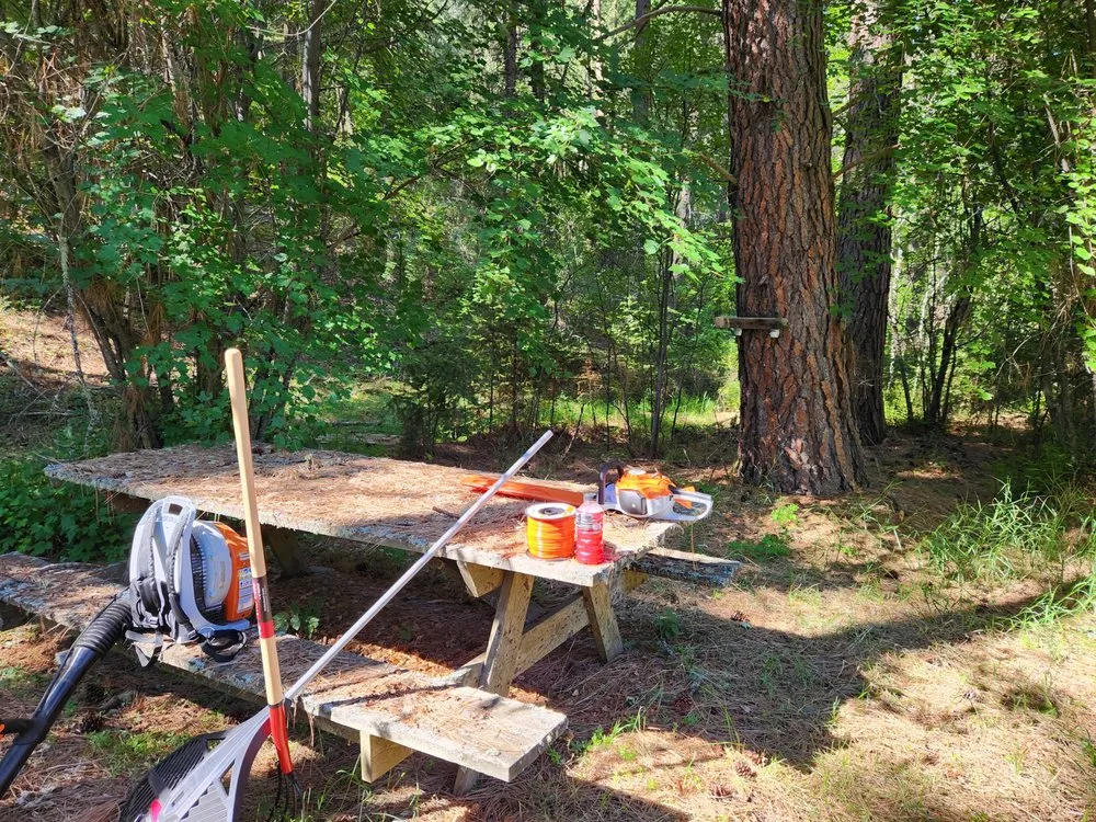 Expert lawn care service in Victor, MT by Black Widow Lawn Services