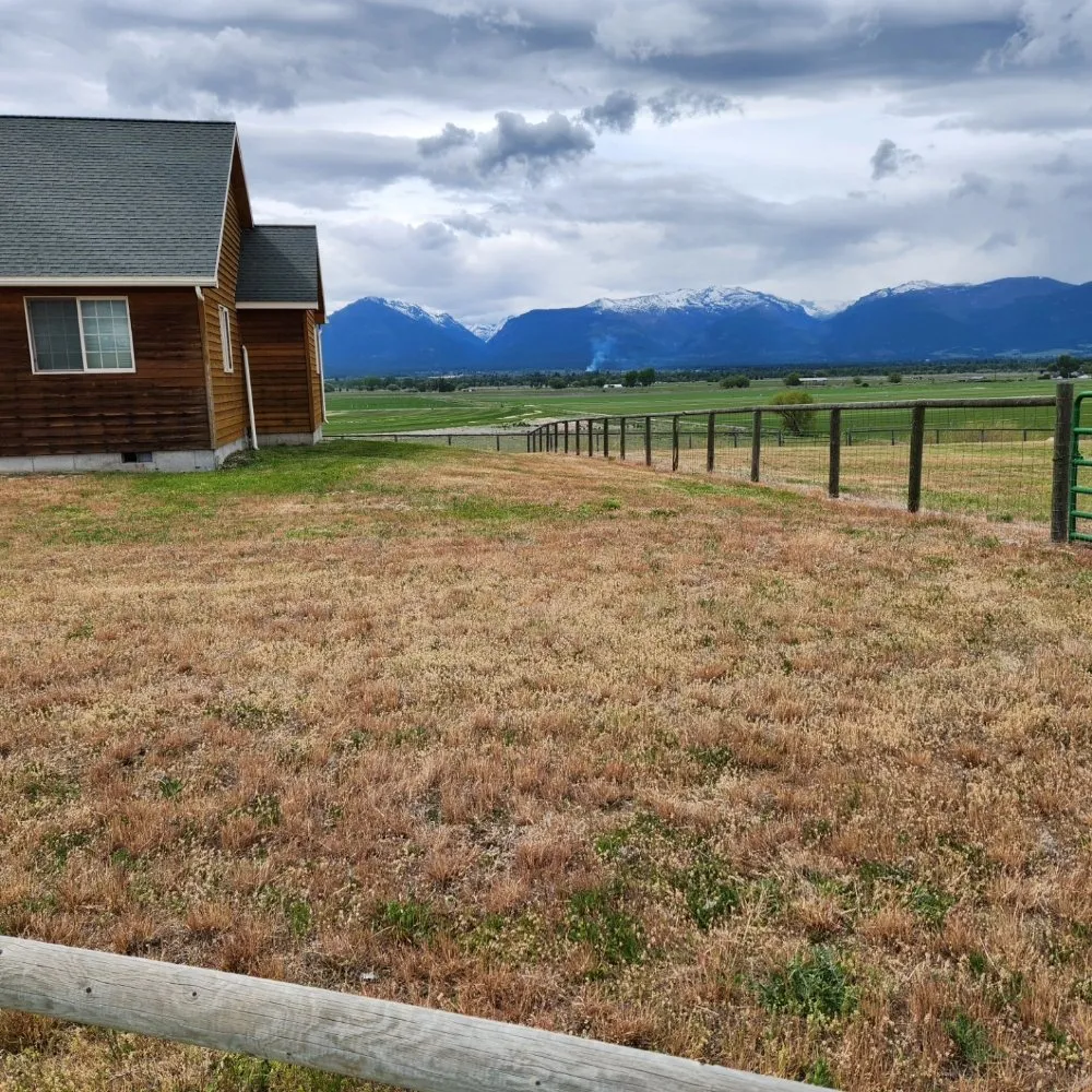 Expert landscape design for year-round maintenance across Victor, MT - Black Widow Lawn Services