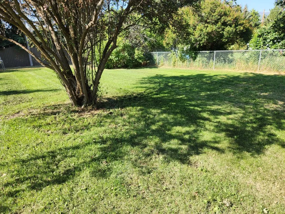 Reliable outdoor landscaping in Victor, MT by Black Widow Lawn Services