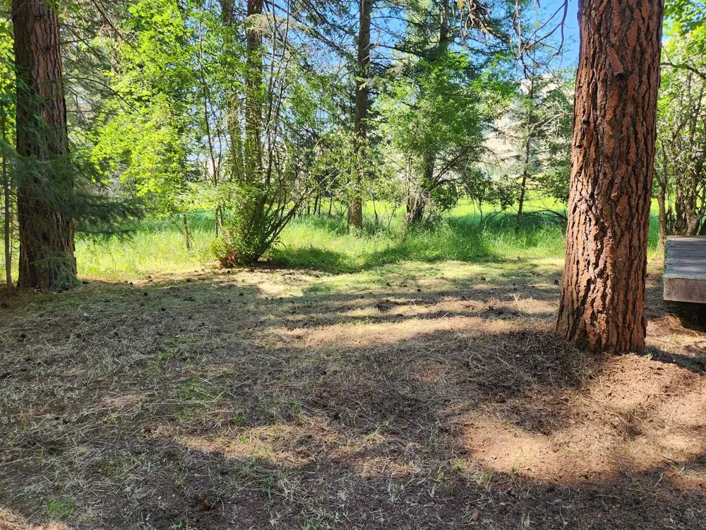 Reliable landscape design for homes across Victor, MT - Black Widow Lawn Services