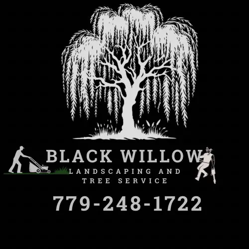 Top-rated garden landscaping for homes across Cary, IL - Black Willow Landscaping And Tree Service