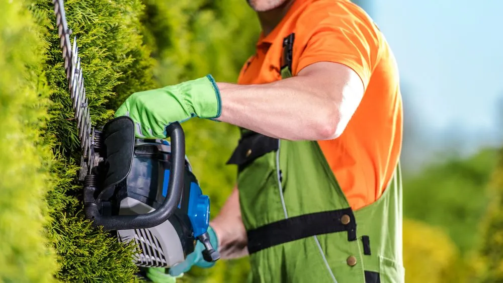 Top-rated outdoor landscaping in Naperville, IL - Black Willow Lawn Care