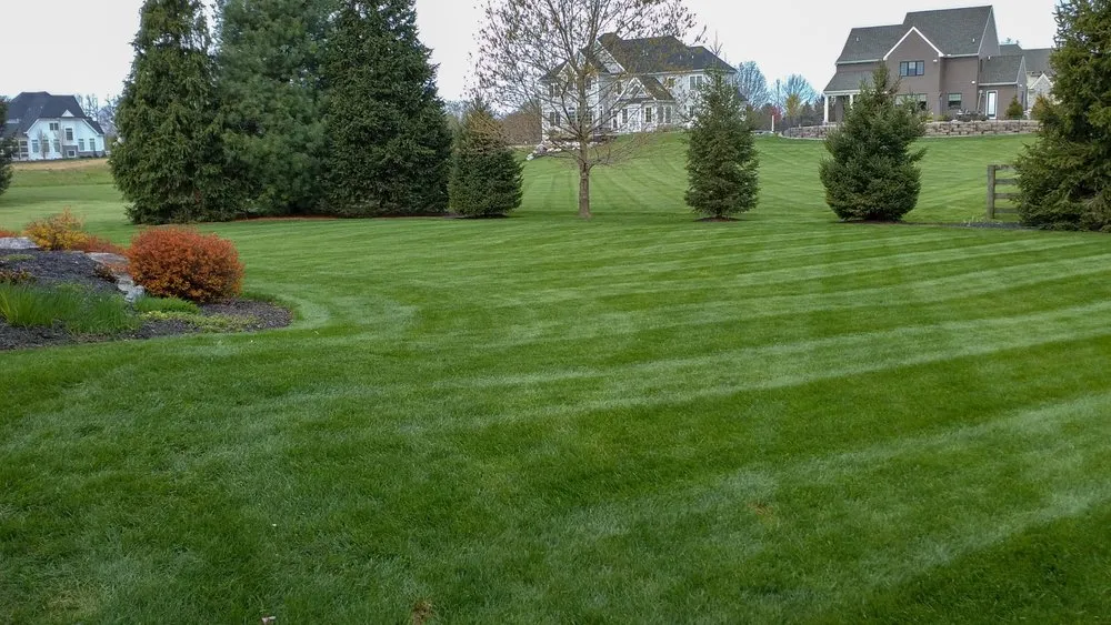 Custom residential landscaping for outdoor upgrades in Naperville, IL by Black Willow Lawn Care