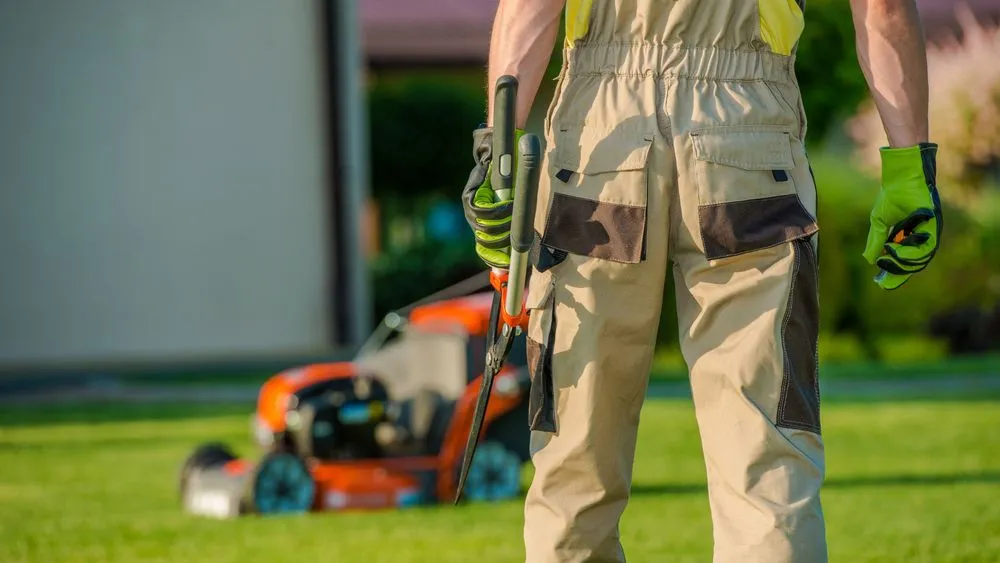 Expert landscaping services experts serving Naperville, IL - Black Willow Lawn Care