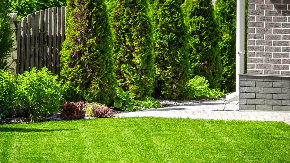 Reliable yard maintenance for homes across Naperville, IL - Black Willow Lawn Care