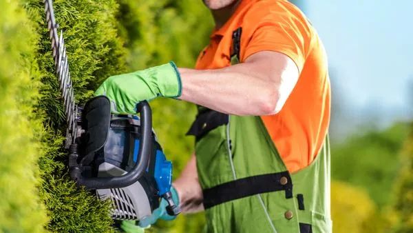 Black Willow Lawn Care Logo