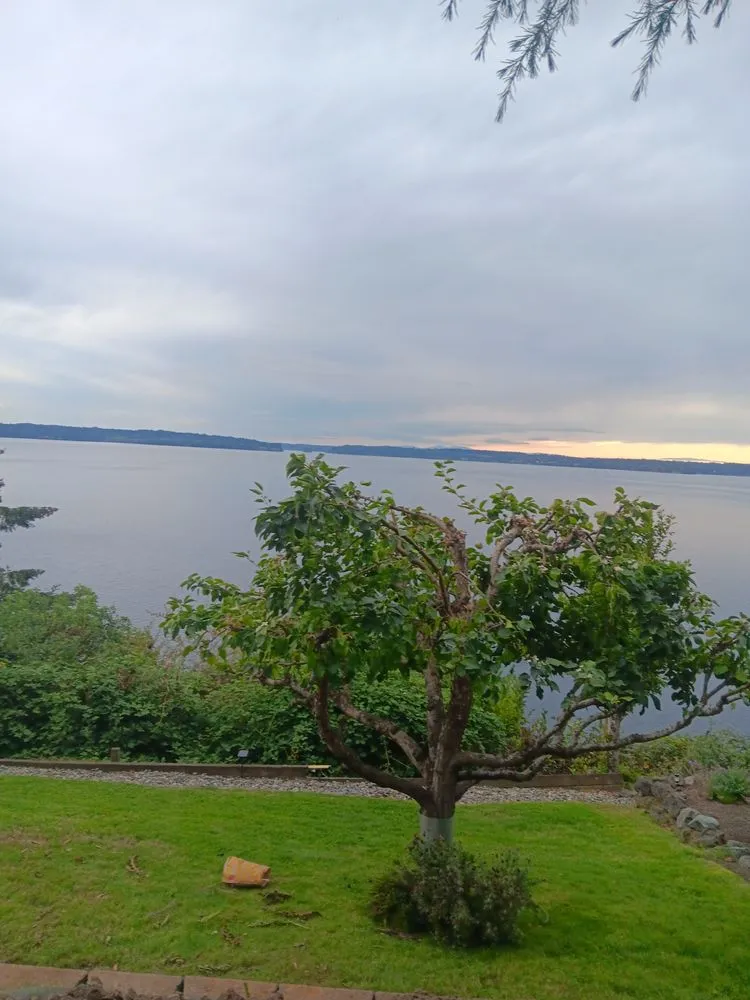 Affordable lawn mowing service for beautiful yards across Port Orchard, WA - Black Wolf Landscaping