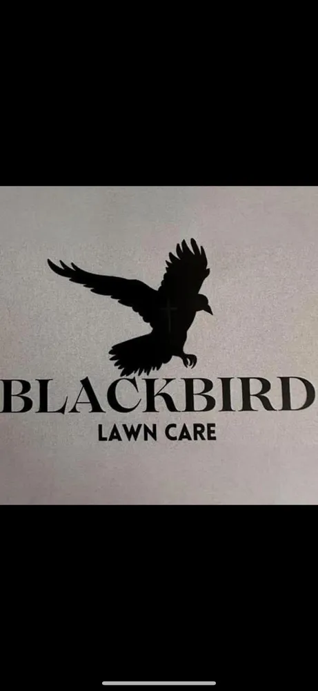 Trusted yard cleanup service in Grove City, OH - Blackbird Lawn Care