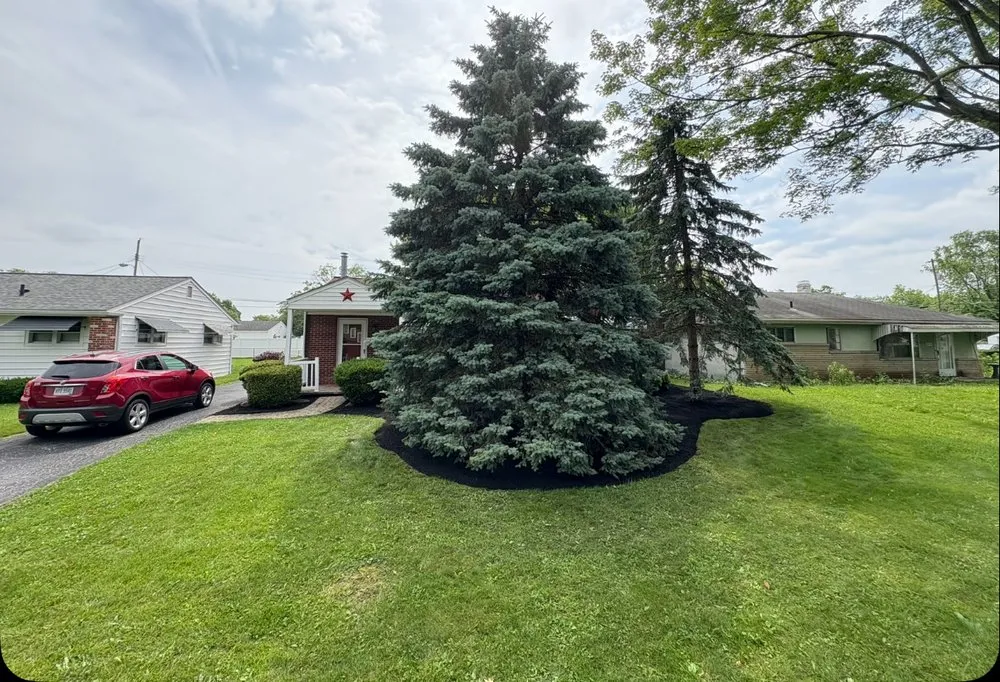 Affordable landscape design for year-round maintenance across Grove City, OH - Blackbird Lawn Care