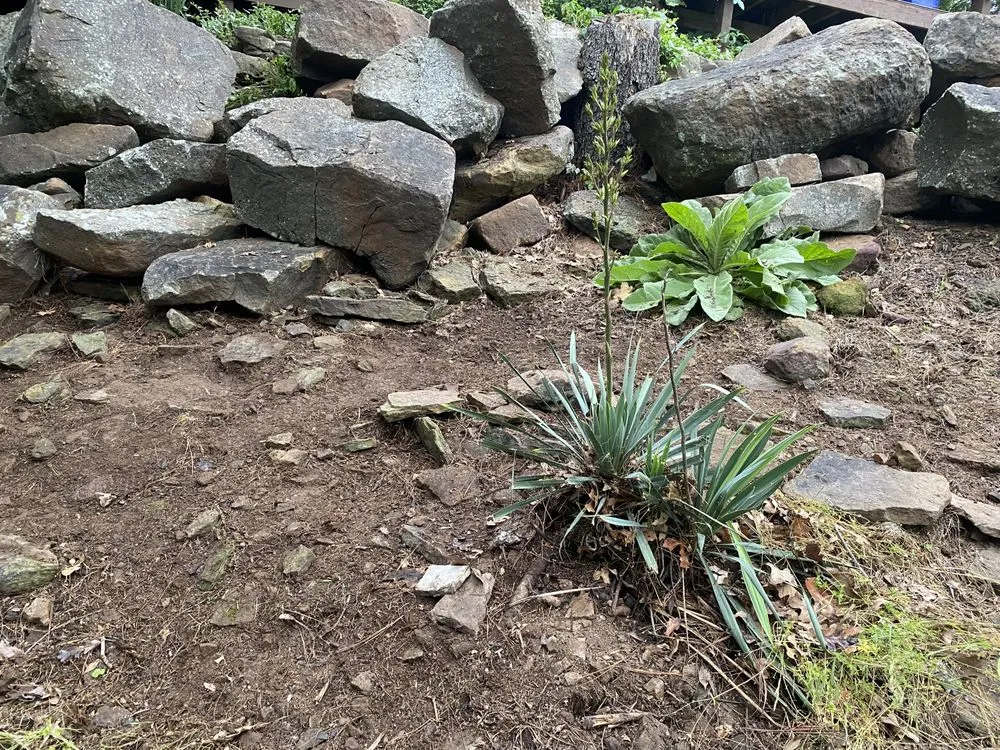 Expert garden landscaping in Vian, OK by Blackbird Tree Services