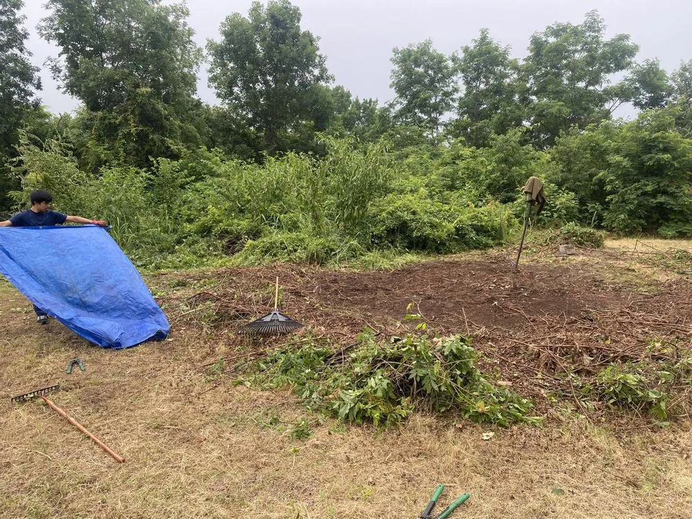 Reliable landscaping services with custom design in Vian, OK by Blackbird Tree Services