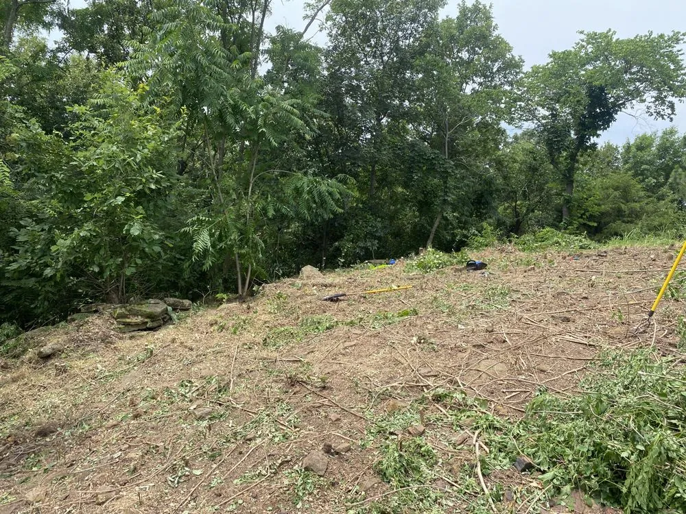 Reliable lawn care service experts serving Vian, OK - Blackbird Tree Services