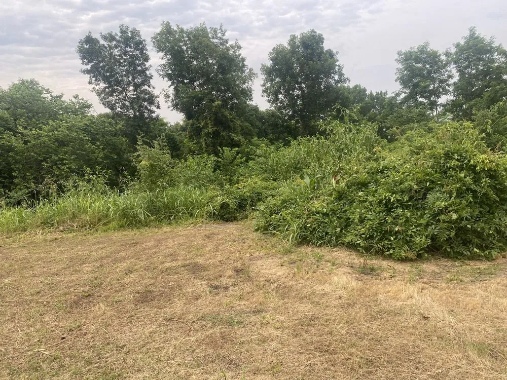 Affordable landscape installation near you across Vian, OK - Blackbird Tree Services