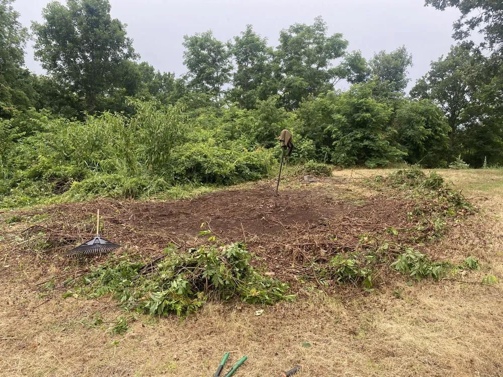 Affordable residential landscaping near you in Vian, OK by Blackbird Tree Services