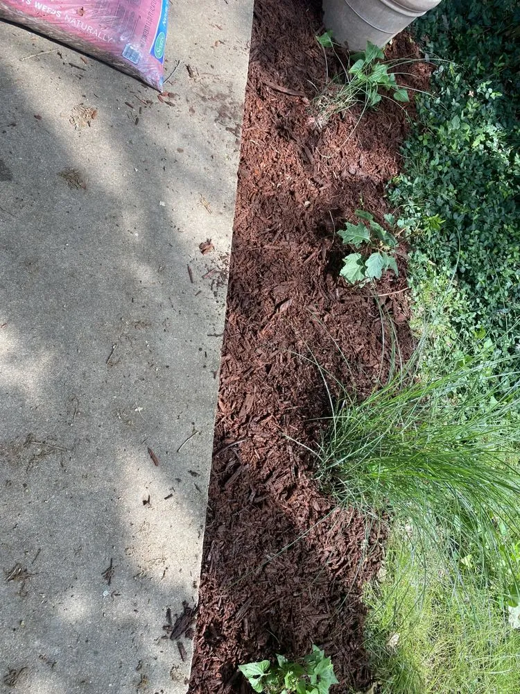 Local lawn care service experts serving Vian, OK - Blackbird Tree Services