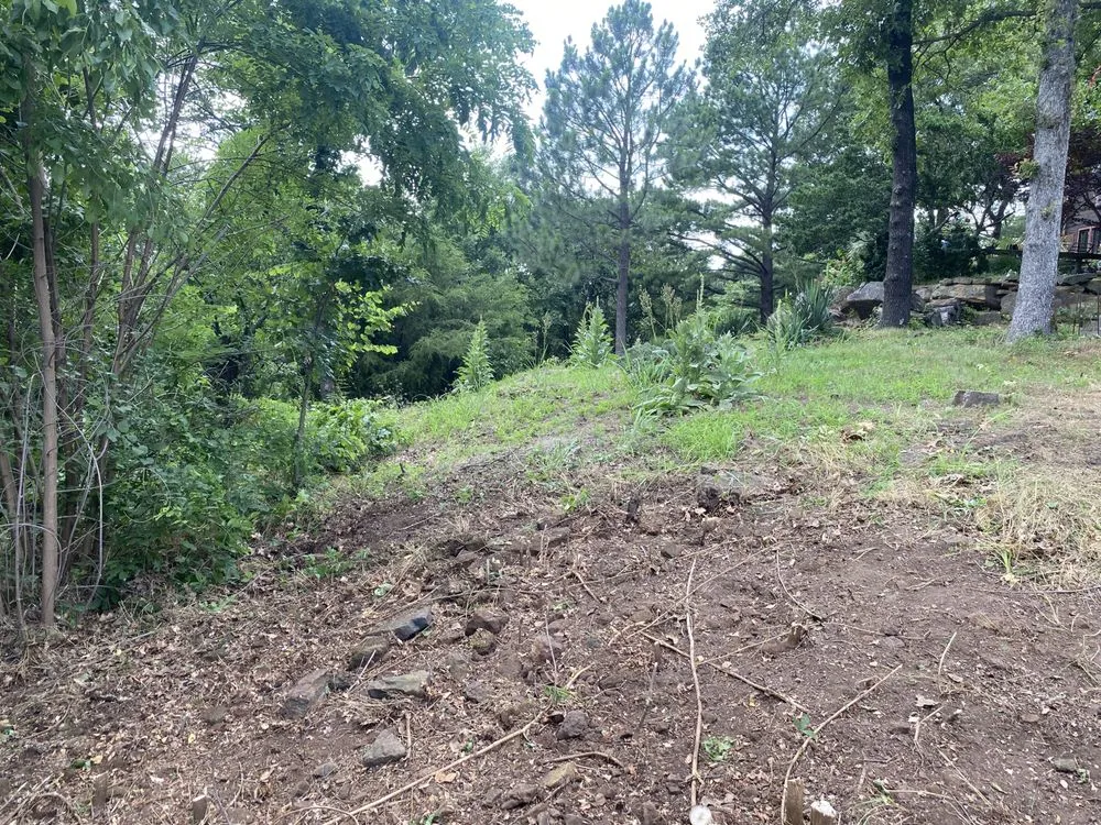 Professional yard cleanup service in Vian, OK by Blackbird Tree Services