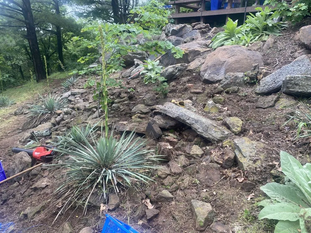 Top-rated landscape design for beautiful yards across Vian, OK - Blackbird Tree Services