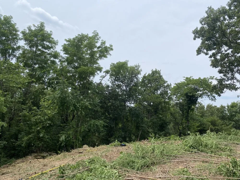 Professional landscape design in Vian, OK - Blackbird Tree Services