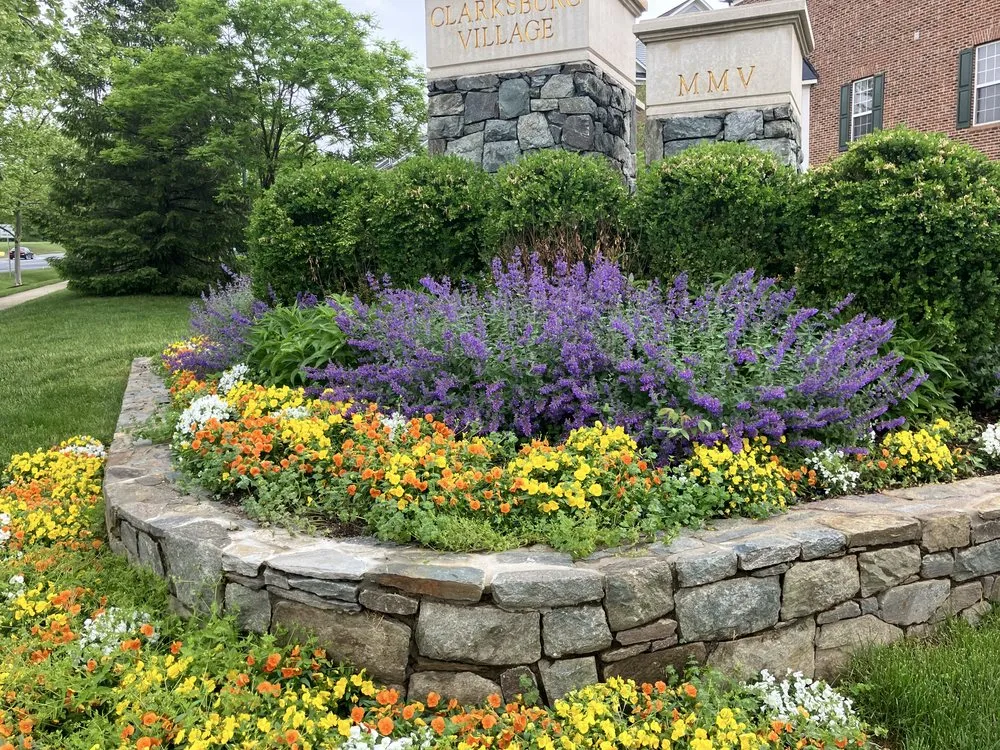 Professional lawn care service in Clarksburg, MD by Black&Body Landscaping Demolition & Remodelling