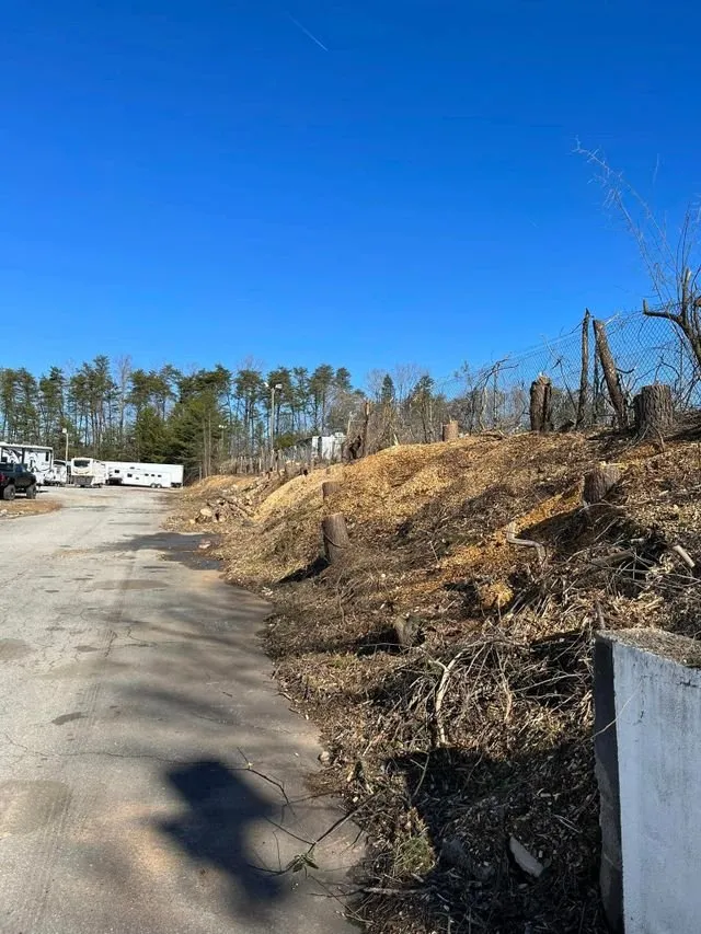 Trusted landscaping services near you across Winston-salem, NC - Blackburn Land & Limb
